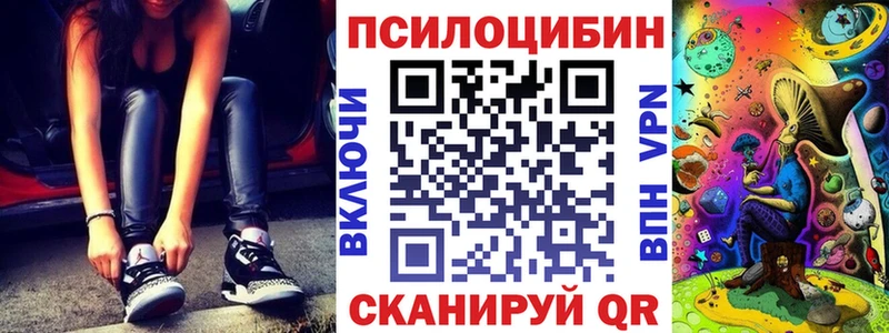 Псилоцибиновые грибы Psilocybe  Опочка 